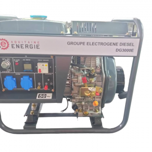 DG8SW Groupe de soudure/électrogène diesel autonome 8kva 230v